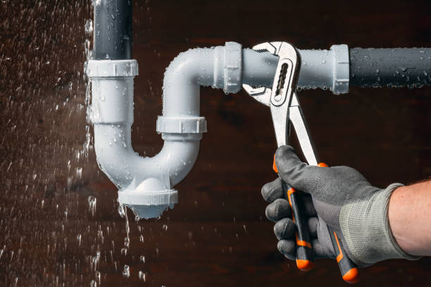 Professional Toilet Repair technician working in Plain, WI